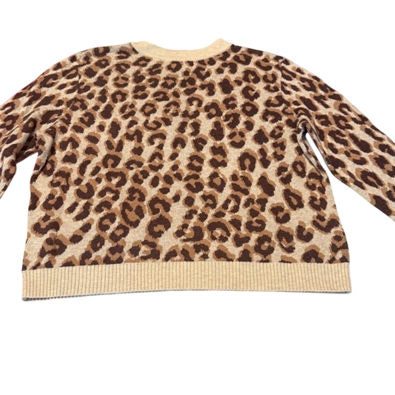 Basics Bundle — 3 Cozy Tops